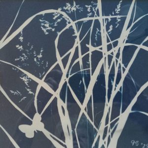 Tangle | Cyanotype on Paper | 8" x 8" | $125