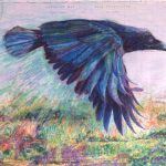Irish Mountain Crow | Mixed media on topographic map | Price and Size on Request