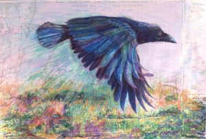 Irish Mountain Crow | Mixed media on topographic map | Price and Size on Request